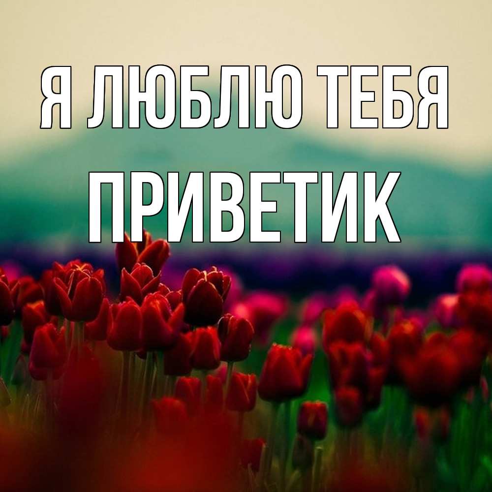 Открытка  с именем. приветик, Я люблю тебя  