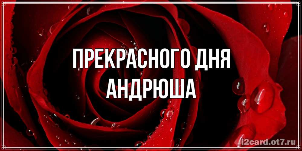 Открытка  с именем. Андрюша, Прекрасного дня  