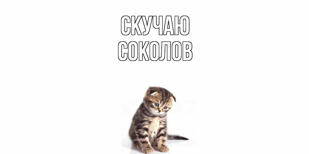 Открытка  с именем. Соколов, Скучаю  