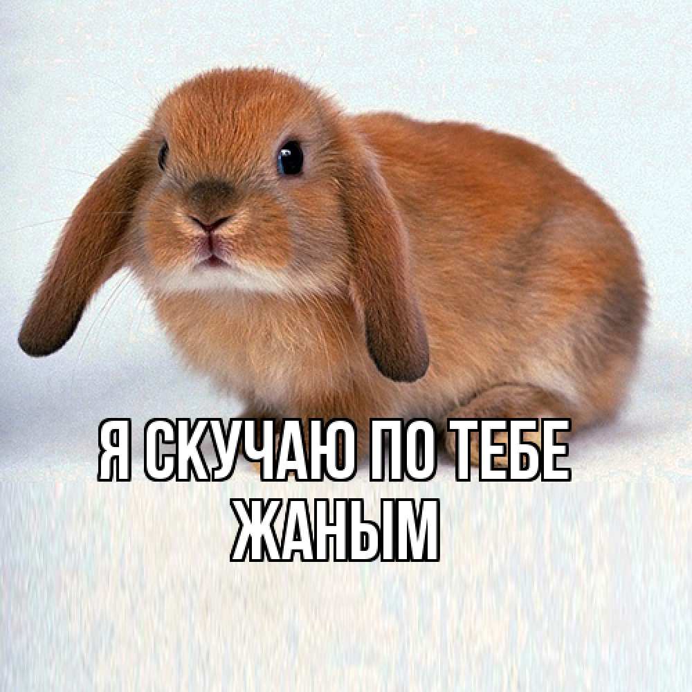 Открытка  с именем. Жаным, Я скучаю по тебе  