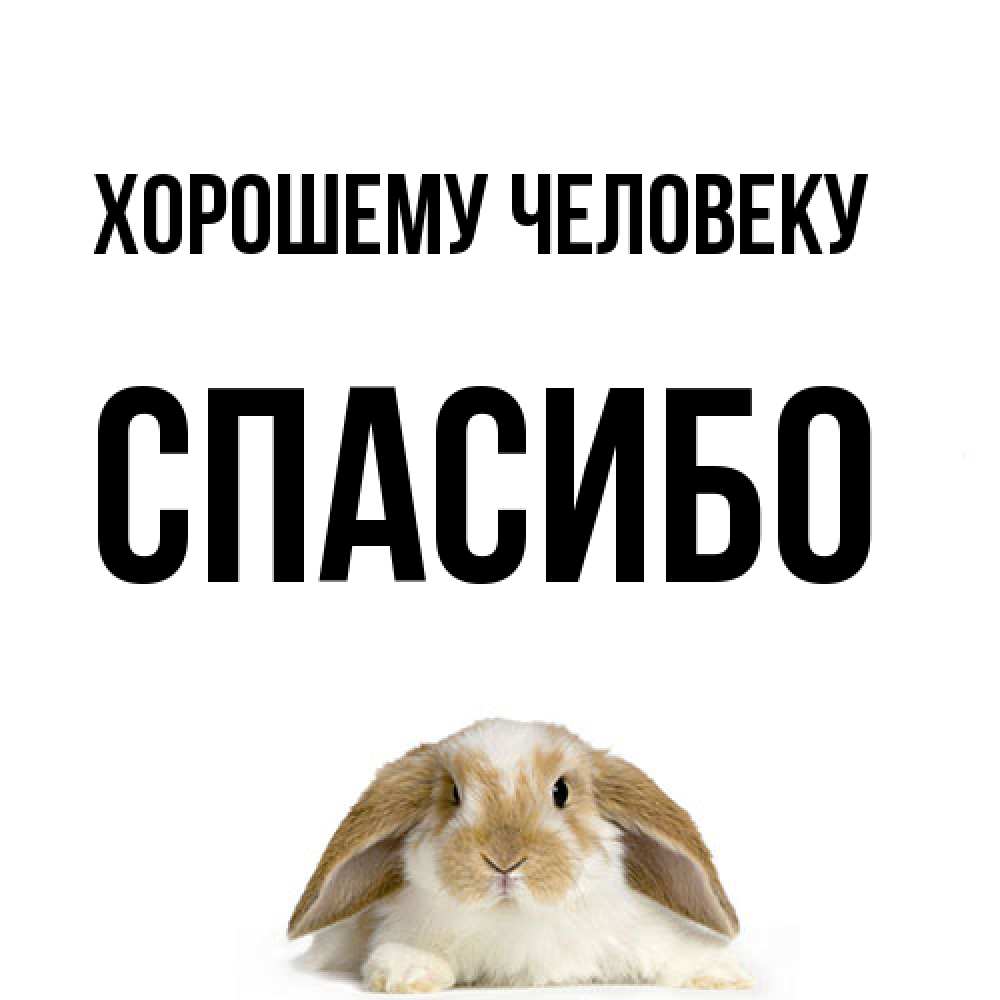 Открытка  с именем. спасибо, Хорошему человеку  