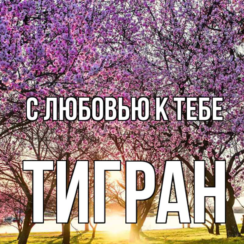 Картинка С любовью к тебе, Тигран