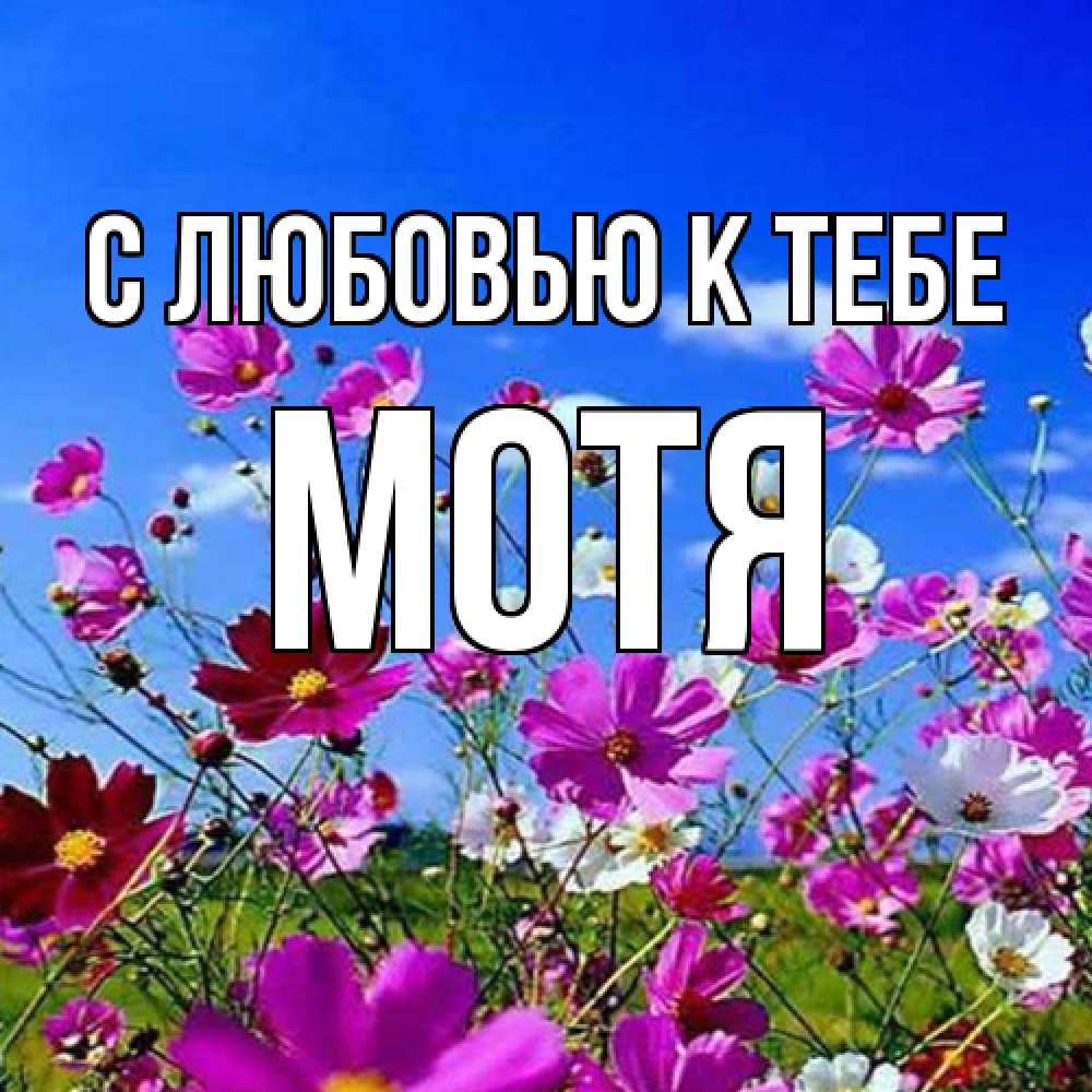 Открытка  с именем. Мотя, С любовью к тебе  