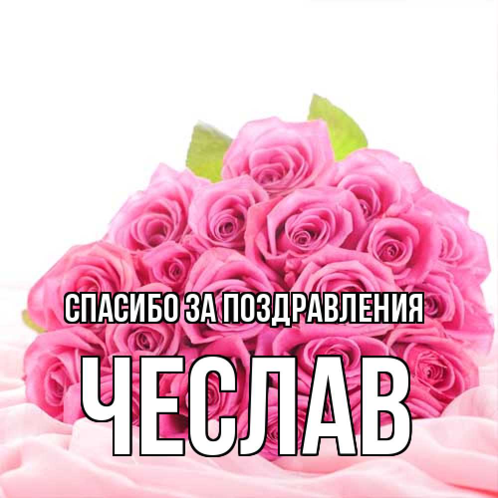 Открытка  с именем. Чеслав, Спасибо за поздравления  