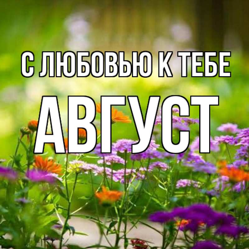 Картинка С любовью к тебе, Август