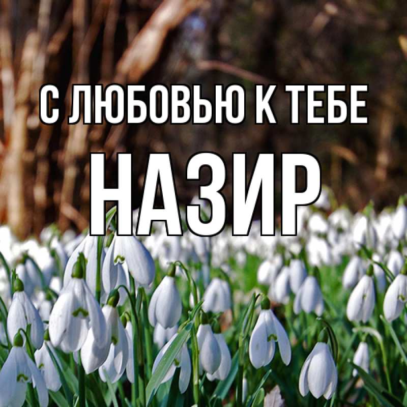 Картинка С любовью к тебе, Назир