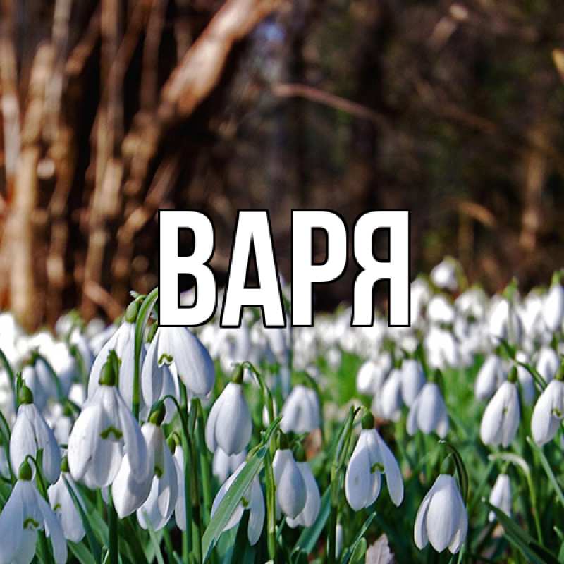 Картинка  с именем , варя