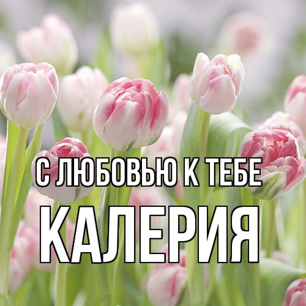 Открытка  с именем. Калерия, С любовью к тебе  