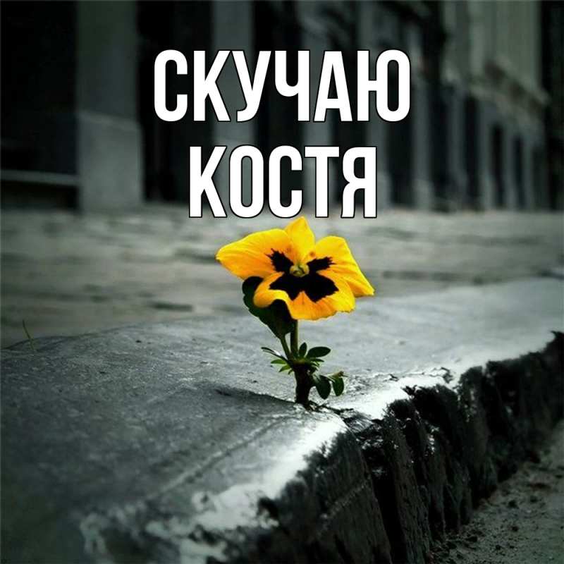 Картинка Скучаю, Костя