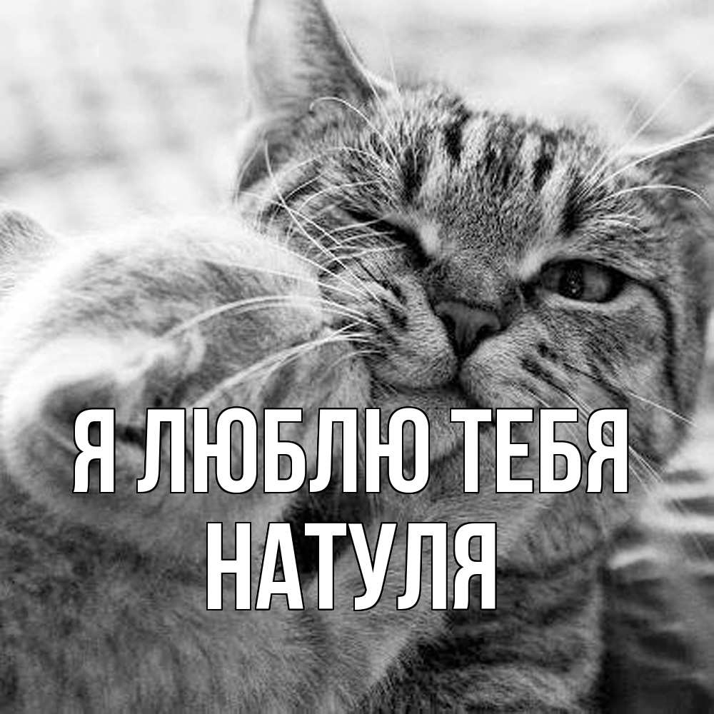 Открытка  с именем. Натуля, Я люблю тебя  