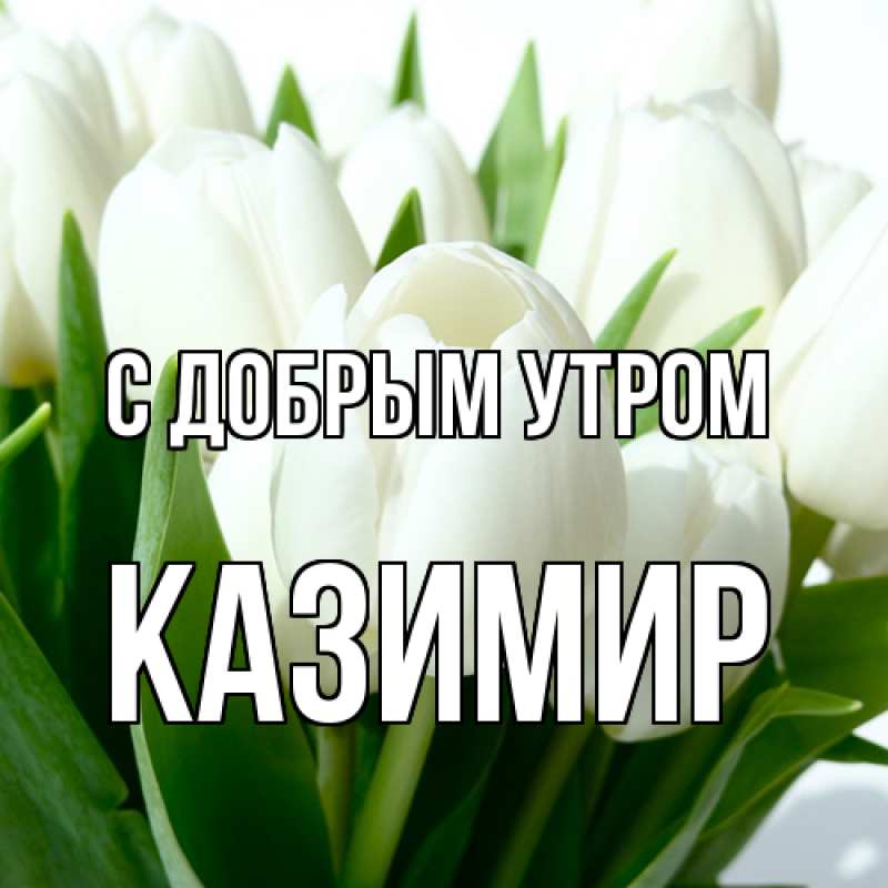 Картинка С добрым утром, Казимир