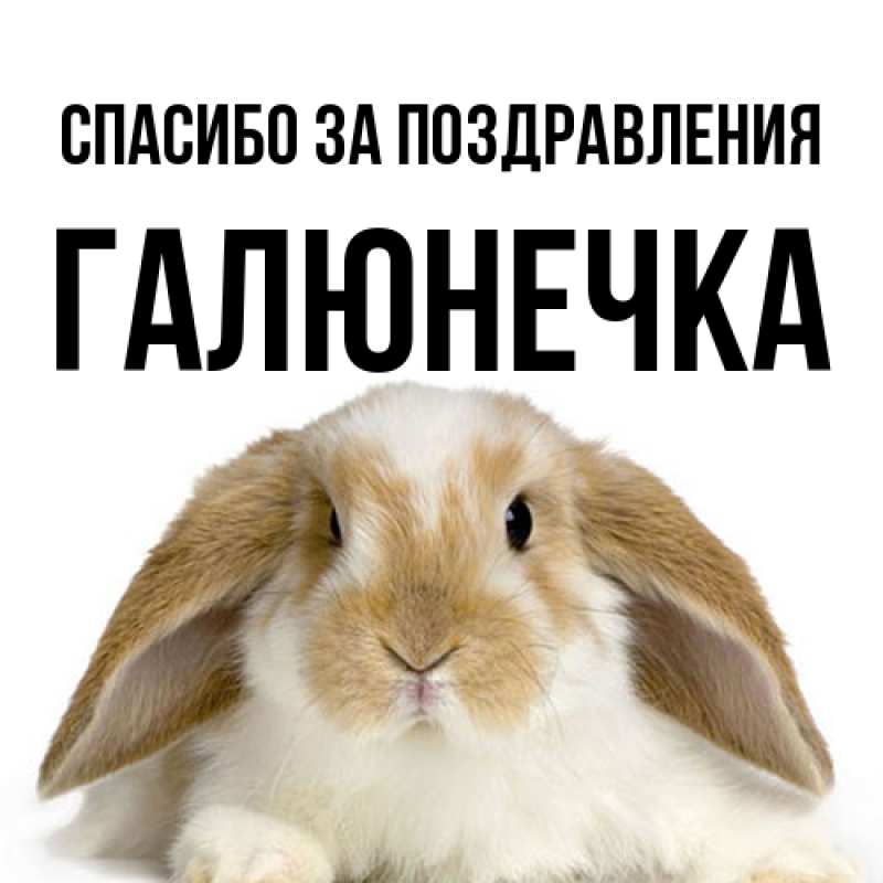 Картинка Спасибо за поздравления, Галюнечка