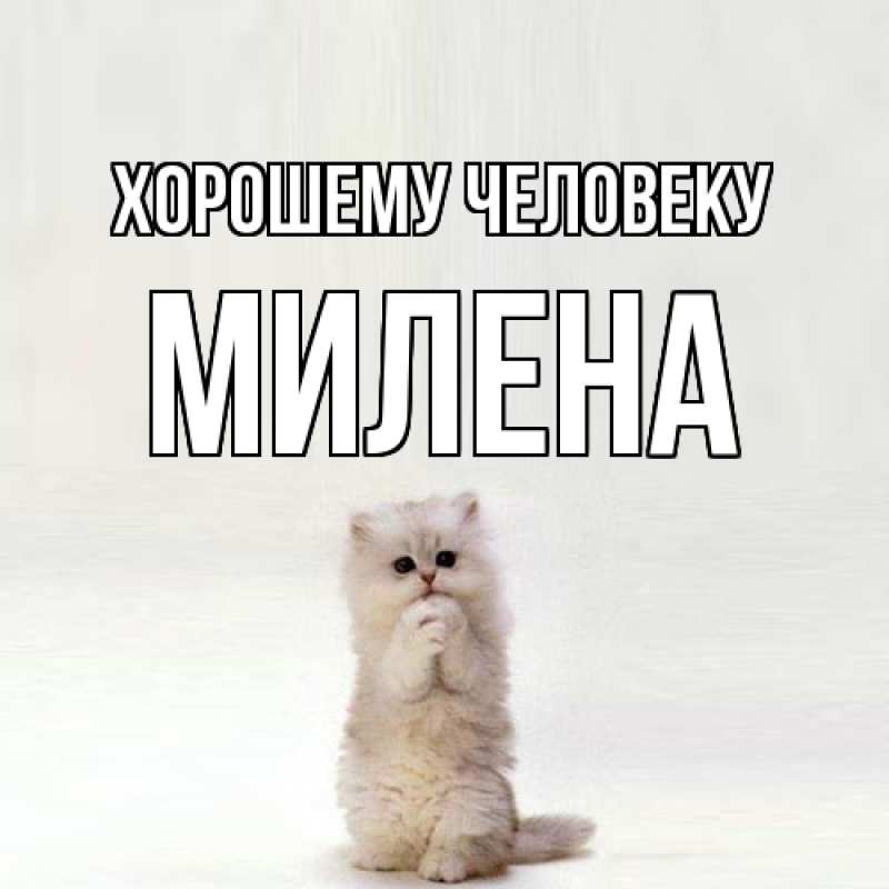 Картинка Хорошему человеку, Милена