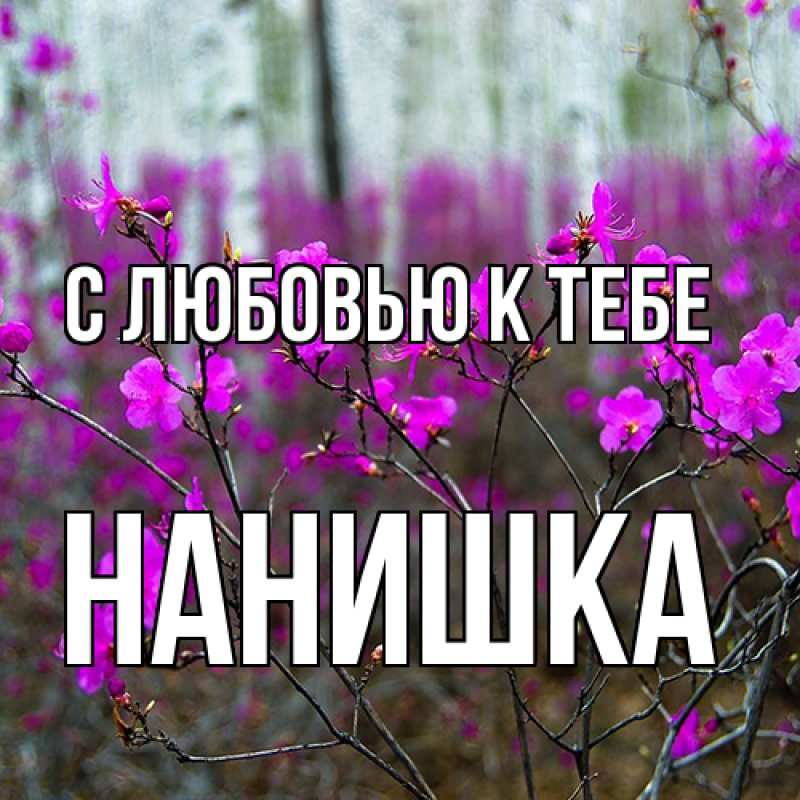 Картинка С любовью к тебе, Нанишка