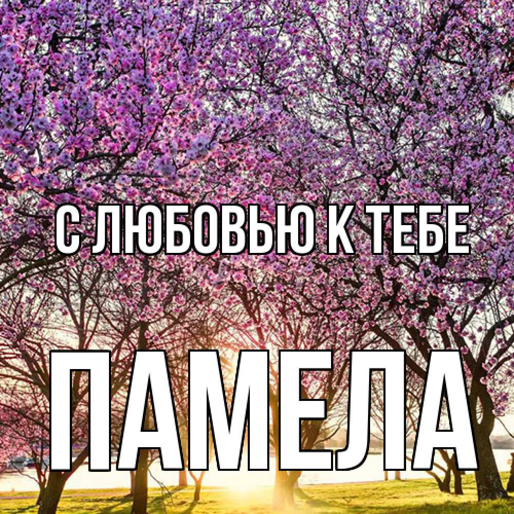 Открытка  с именем. Памела, С любовью к тебе  