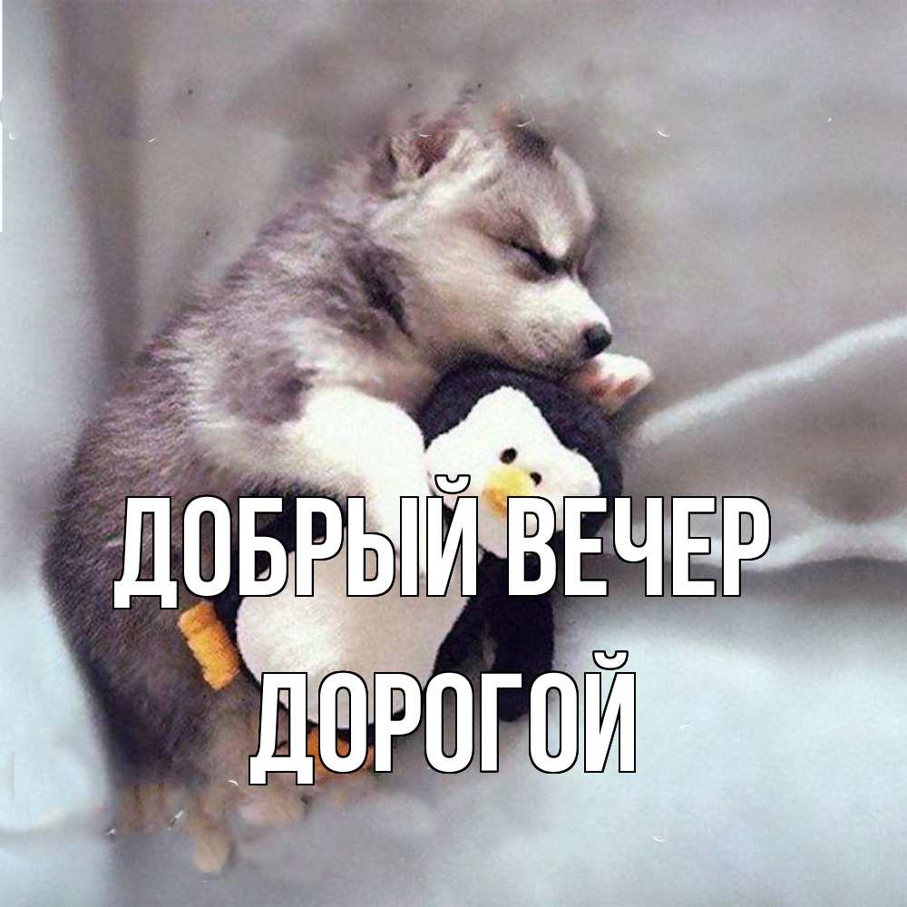 Открытка  с именем. Дорогой, Добрый вечер  