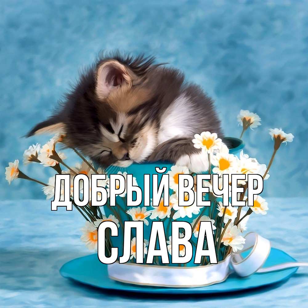 Открытка  с именем. Слава, Добрый вечер  