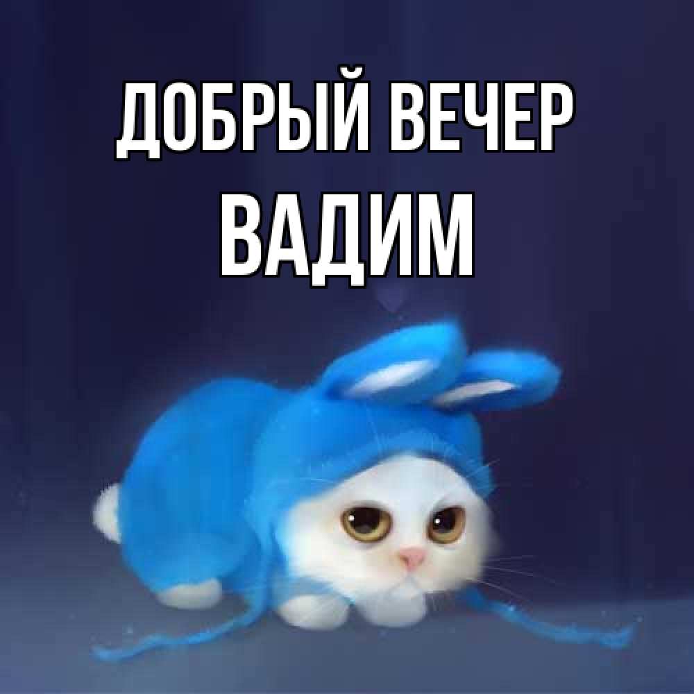Открытка  с именем. Вадим, Добрый вечер  