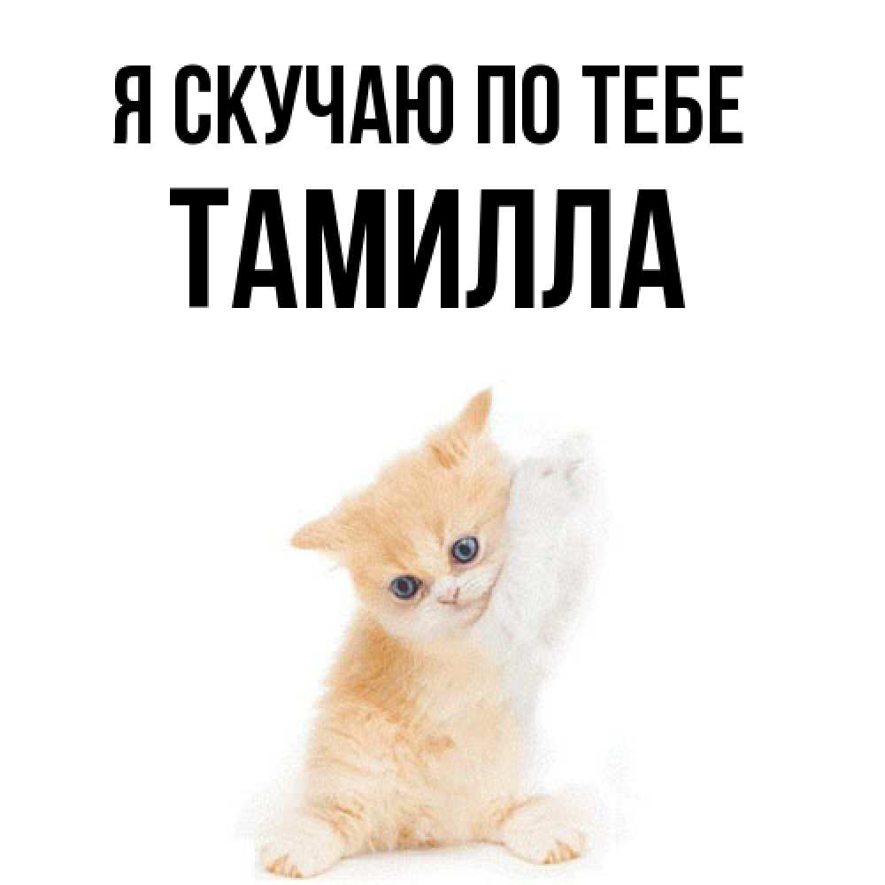 Открытка  с именем. Тамилла, Я скучаю по тебе  