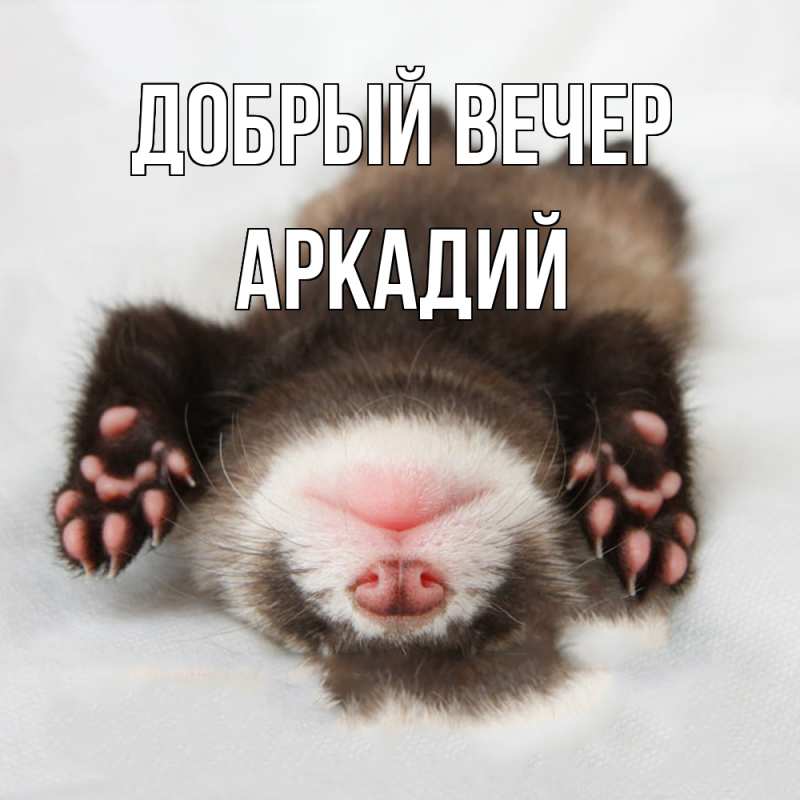 Картинка Добрый вечер, Аркадий