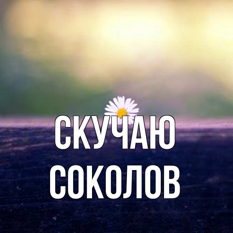 Картинка Скучаю, Соколов