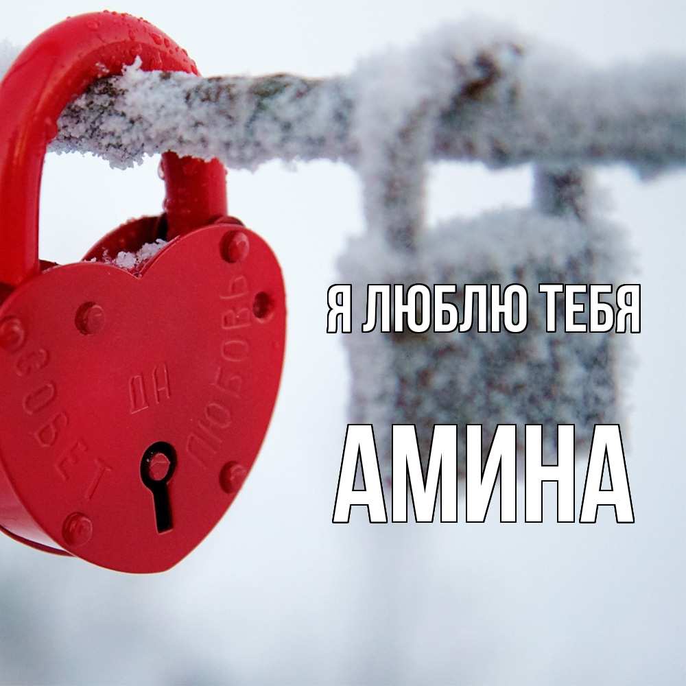 Открытка  с именем. Амина, Я люблю тебя  