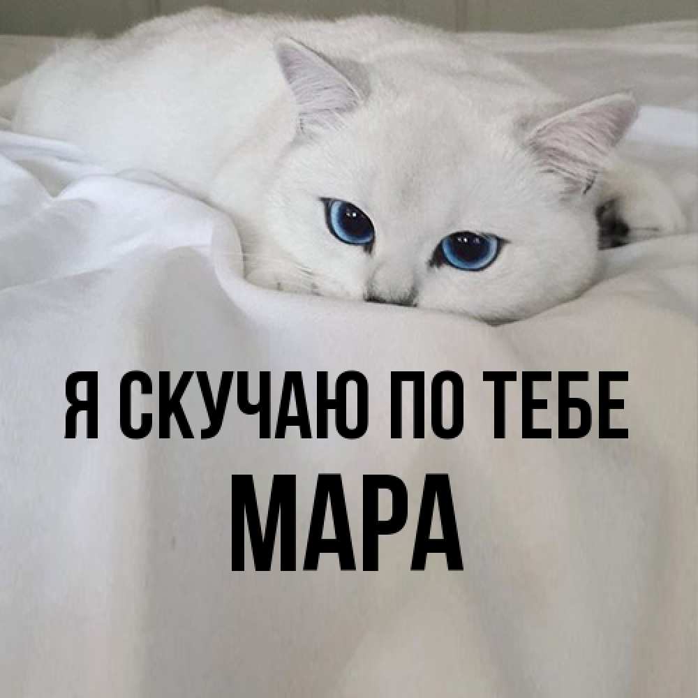 Открытка  с именем. Мара, Я скучаю по тебе  