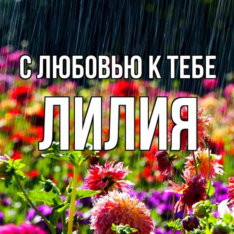 Картинка С любовью к тебе, ЛИлия
