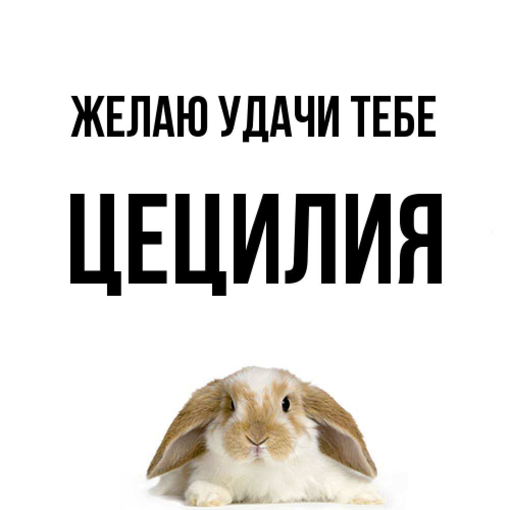 Открытка  с именем. Цецилия, Желаю удачи тебе  