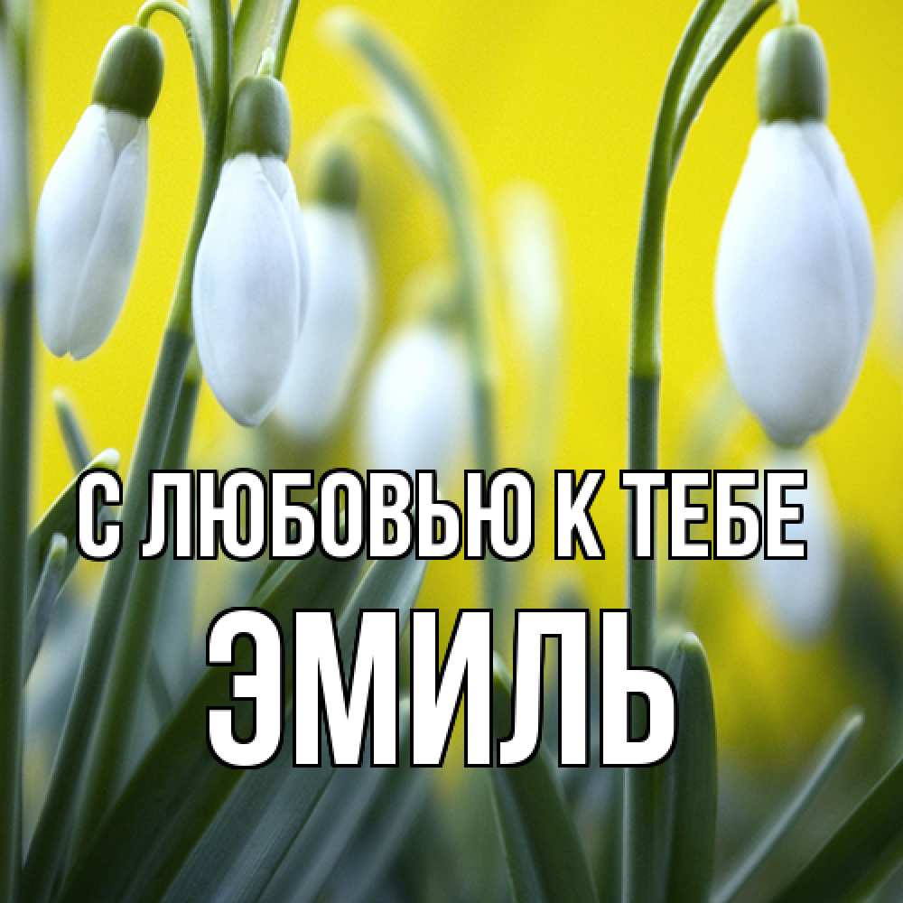 Открытка  с именем. Эмиль, С любовью к тебе  