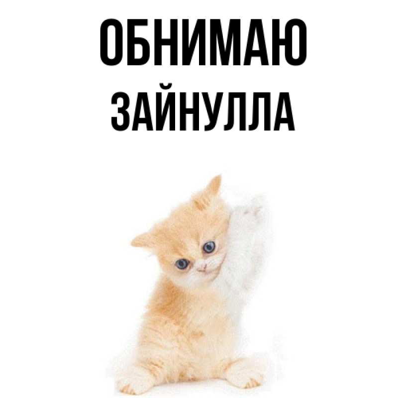 Картинка Обнимаю, Зайнулла