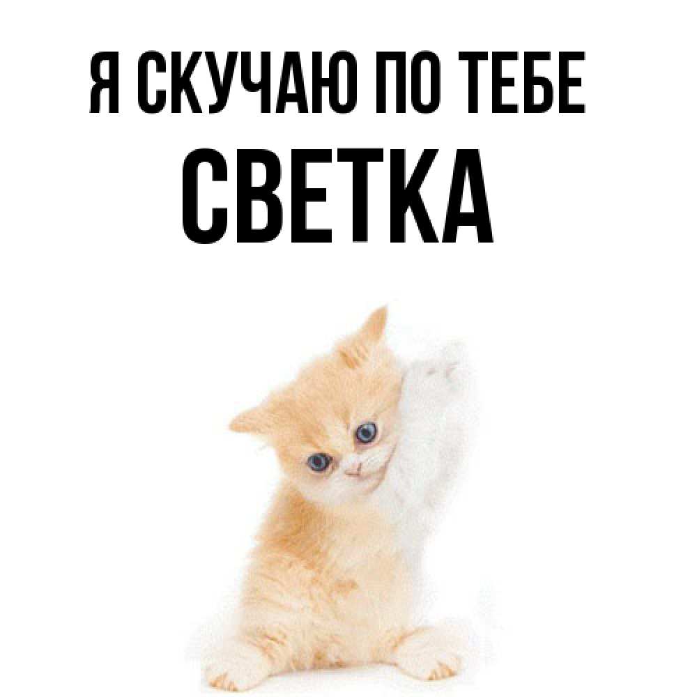 Открытка  с именем. Светка, Я скучаю по тебе  