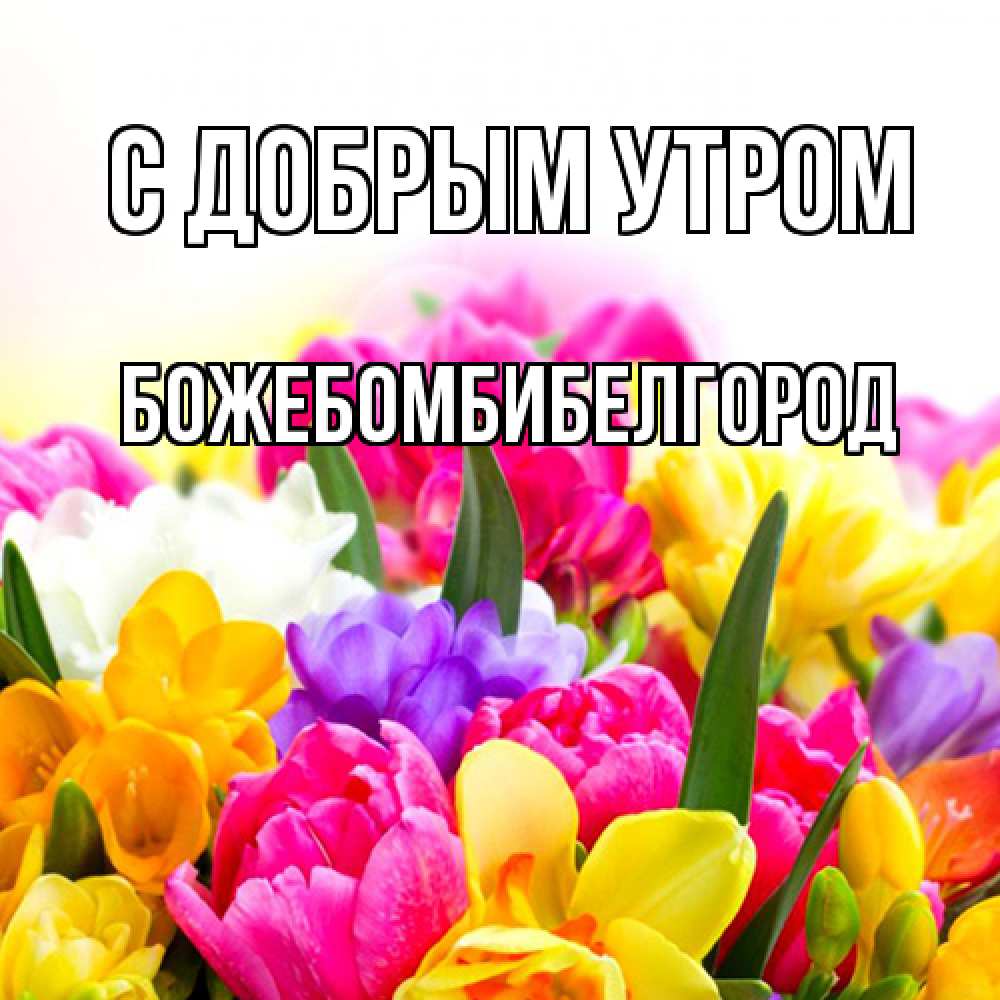 Открытка  с именем. божебомбибелгород, С добрым утром  