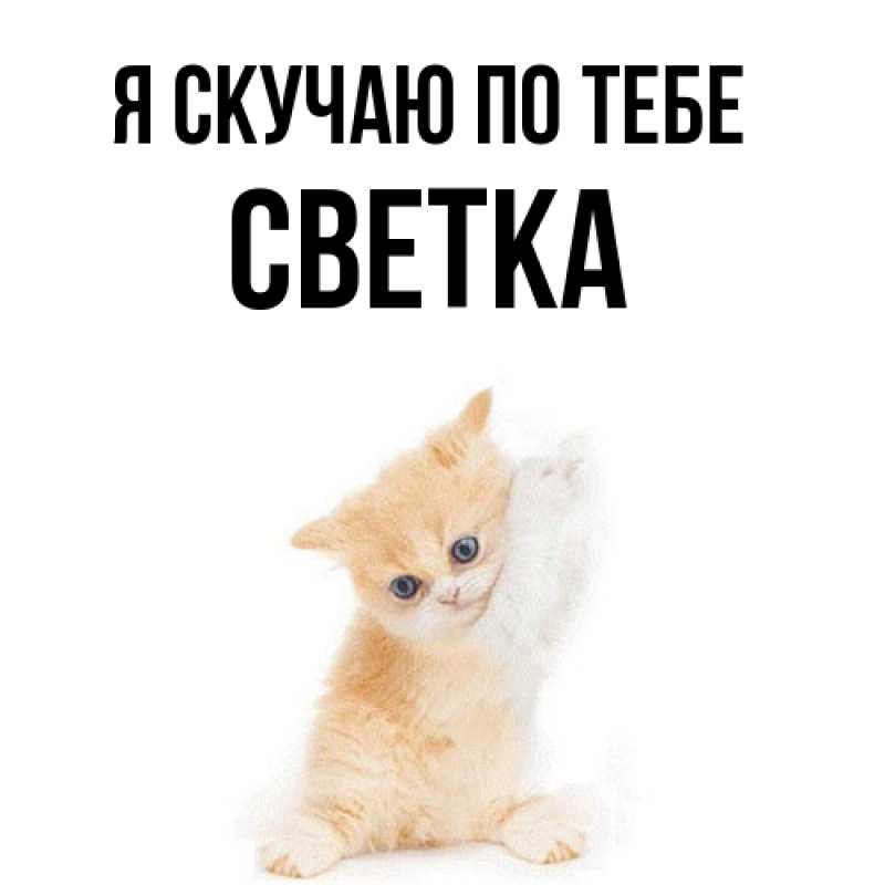 Картинка Я скучаю по тебе, Светка