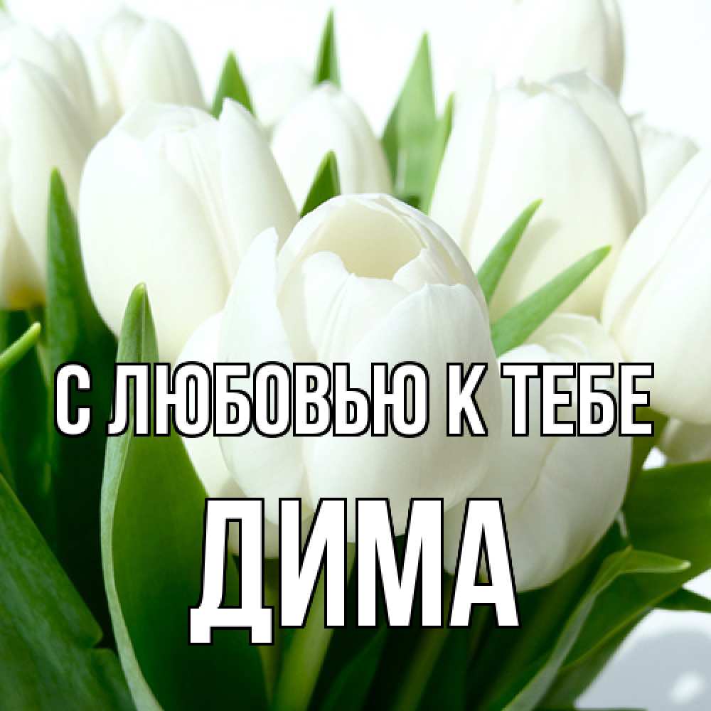 Открытка  с именем. Дима, С любовью к тебе  