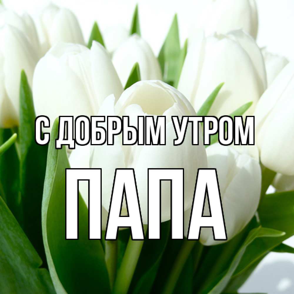 Открытка  с именем. Папа, С добрым утром  