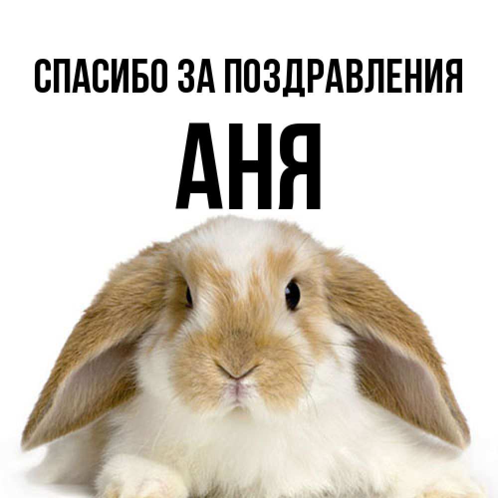 Открытка  с именем. Аня, Спасибо за поздравления  