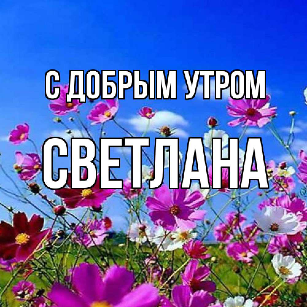 Открытка  с именем. Светлана, С добрым утром  