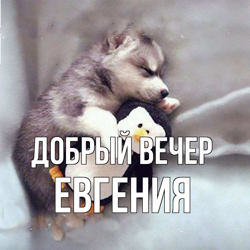 Открытка  с именем. Евгения, Добрый вечер  