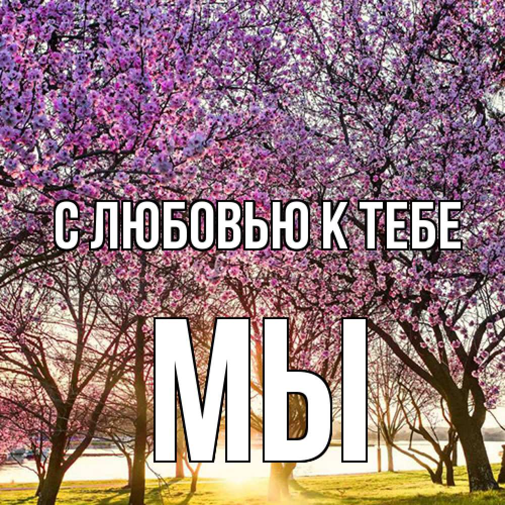 Открытка  с именем. Мы, С любовью к тебе  