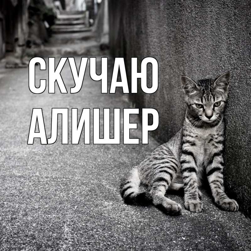 Картинка Скучаю, Алишер