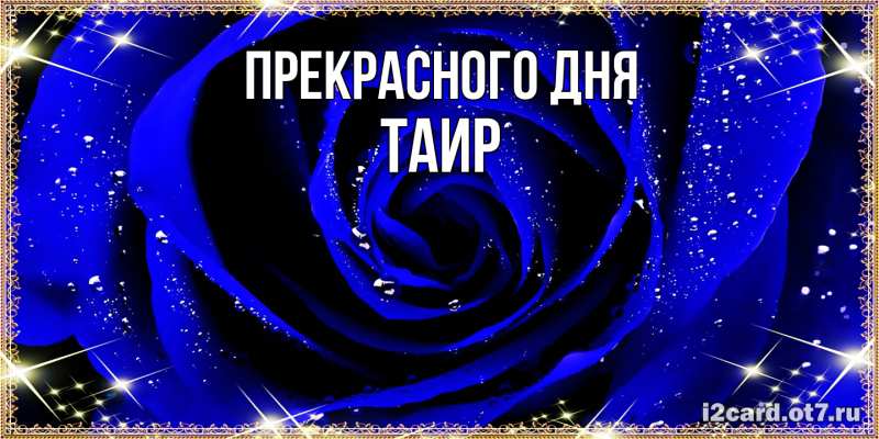 Картинка Прекрасного дня, Таир