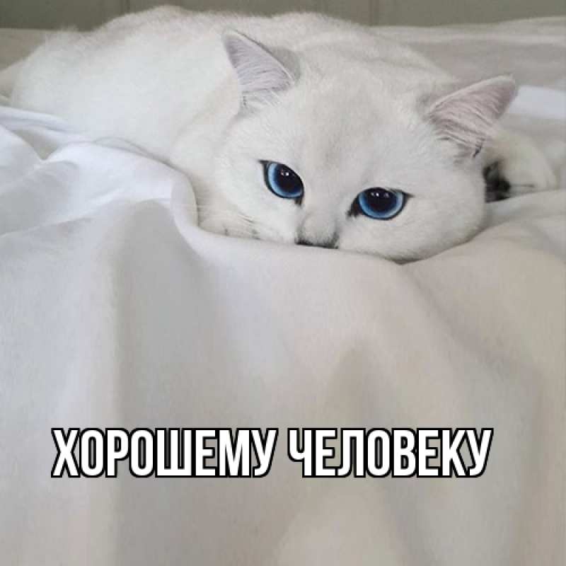 Картинка Хорошему человеку, 