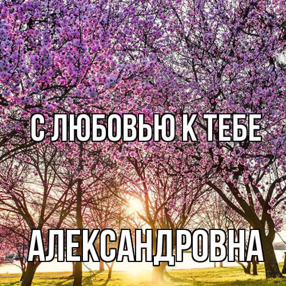 Открытка  с именем. Александровна, С любовью к тебе  