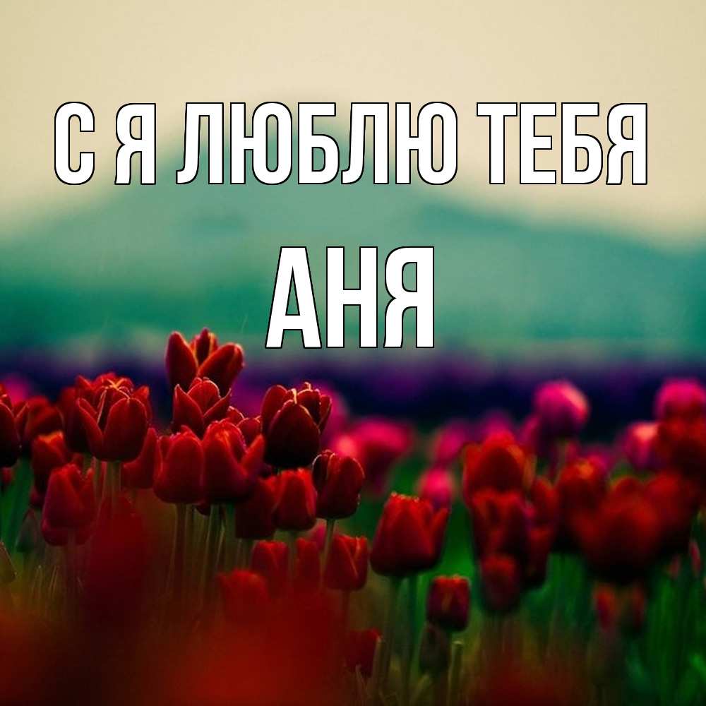Открытка  с именем. Аня, Я люблю тебя  