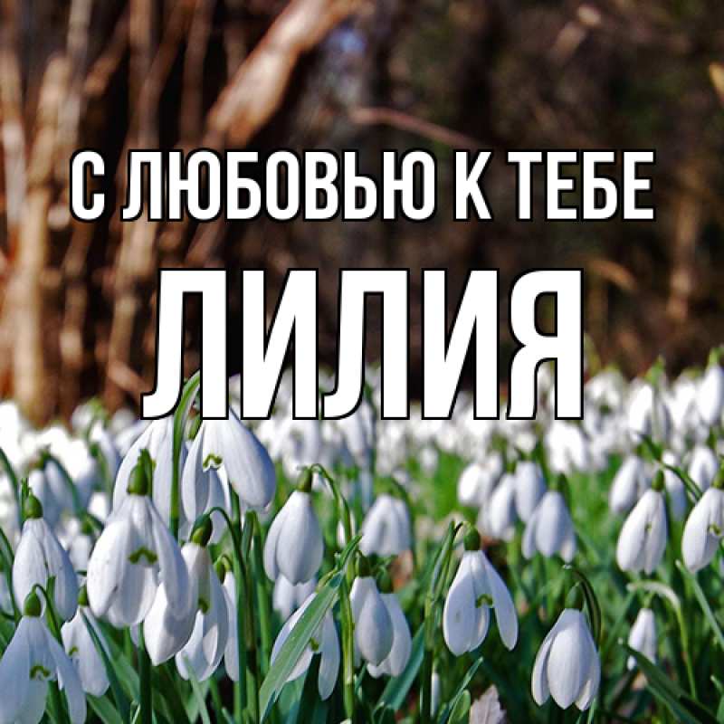 Картинка С любовью к тебе, ЛИлия