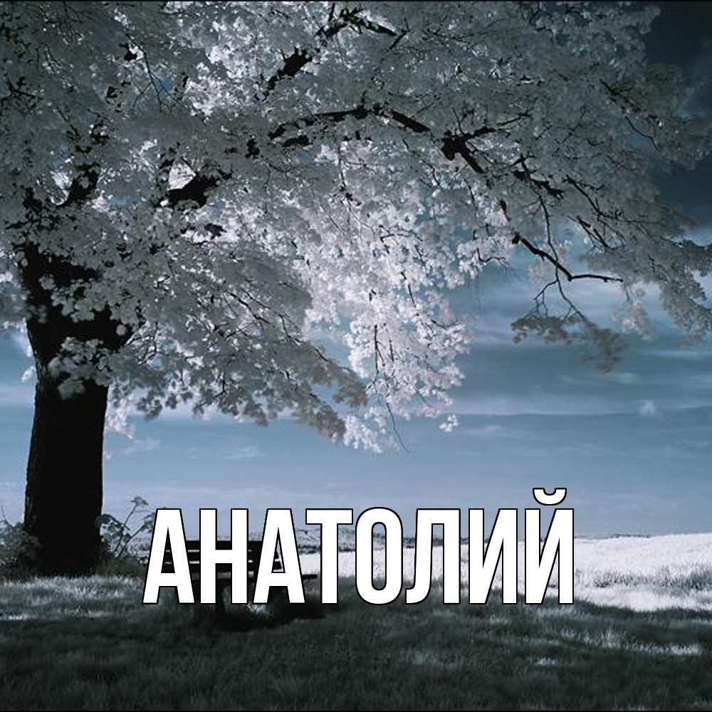 Открытка  с именем. Анатолий, Главная  