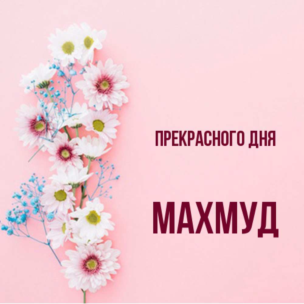 Открытка  с именем. Махмуд, Прекрасного дня  