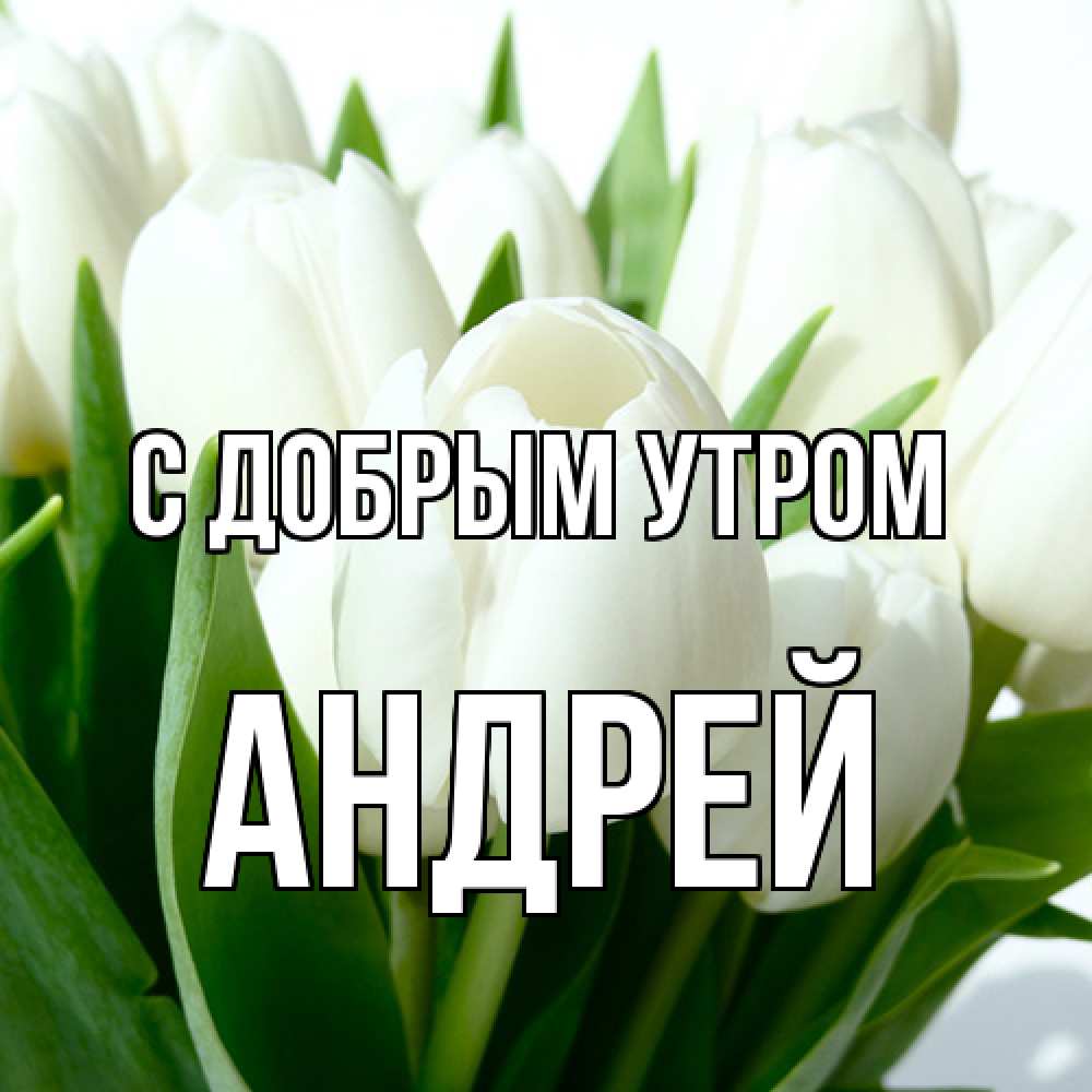 Открытка  с именем. Андрей, С добрым утром  