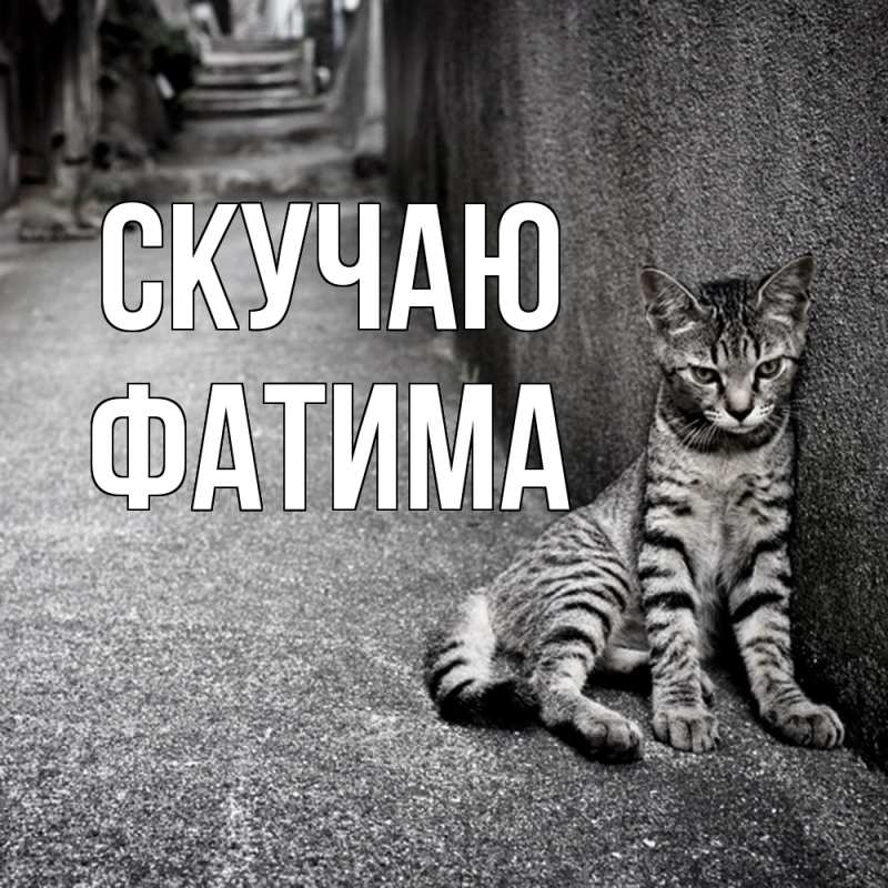 Картинка Скучаю, Фатима
